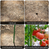 DS BS 10pcs 16mm×1.45m Plastic Coated Metal Garden Stakes