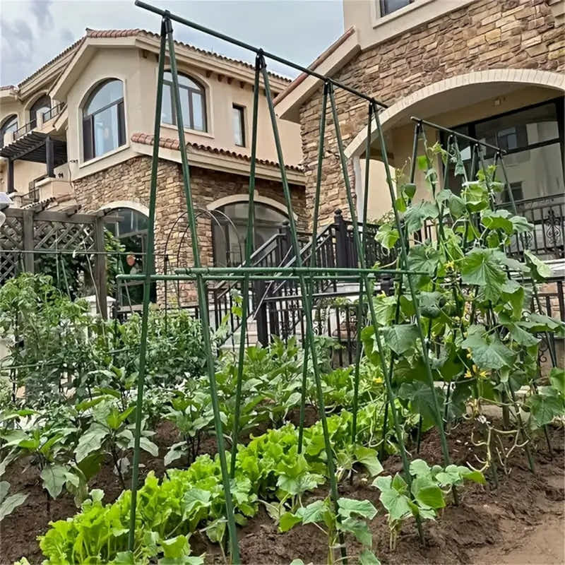 DS BS A Frame 16mm Garden Climbing Support Trellis Set