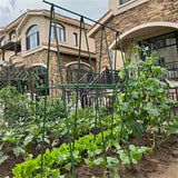 DS BS A Frame 16mm Garden Climbing Support Trellis Set