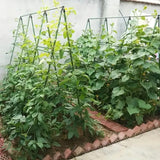 DS BS A Frame 16mm Garden Climbing Support Trellis Set