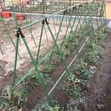 DS BS A Frame 16mm Garden Climbing Support Trellis Set