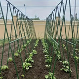 DS BS A Frame 16mm Garden Climbing Support Trellis Set