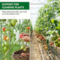 DS BS 3Pack 16MM Garden Tomato Cage Garden Plant Stakes