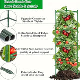 DS BS 3Pack 16MM Garden Tomato Cage Garden Plant Stakes