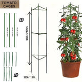 DS BS 3Pack 16MM Garden Tomato Cage Garden Plant Stakes