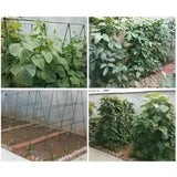 DS BS 10pcs 16mm×60CM Plastic Coated Metal Garden Stakes