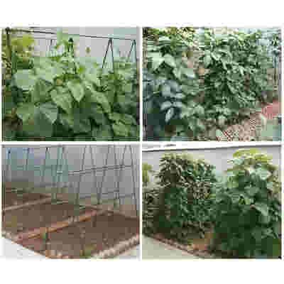 DS BS 10pcs 16mm×60CM Plastic Coated Metal Garden Stakes