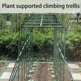 DS BS Garden Plant Climbing Trellis Support Frame - 90CM