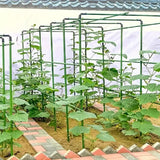 DS BS Garden Plant Climbing Trellis Support Frame - 90CM