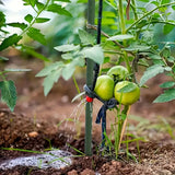 DS BS Garden Plant Climbing Trellis Support Frame - 90CM