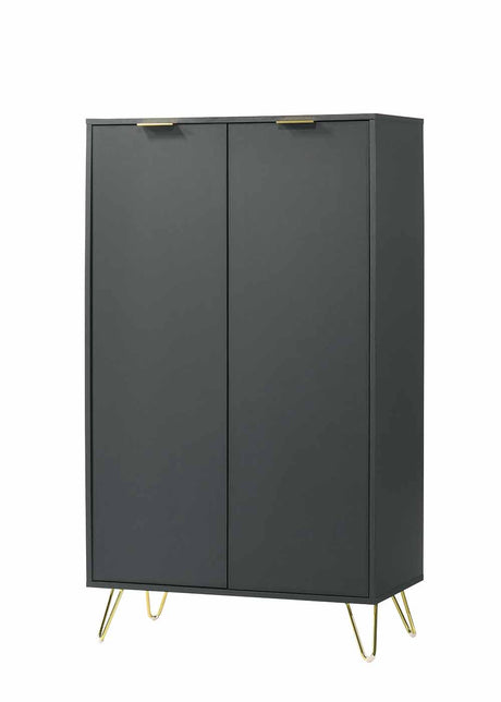 Zinnia 2-Door Shoe Storage Cabinet