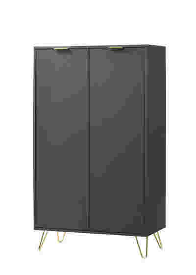Zinnia 2-Door Shoe Storage Cabinet