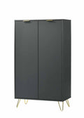 Zinnia 2-Door Shoe Storage Cabinet
