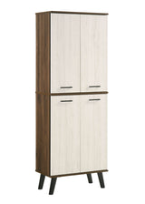 Dallars 4 Door Shoe Cabinet