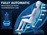 DS Full Body massage Chair 2B