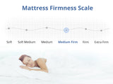 Queen Top Mattress