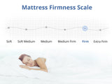 DS Euro Top Mattress G31FIRM Queen