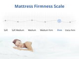 DS Euro Top Mattress FIRMG31 - Single