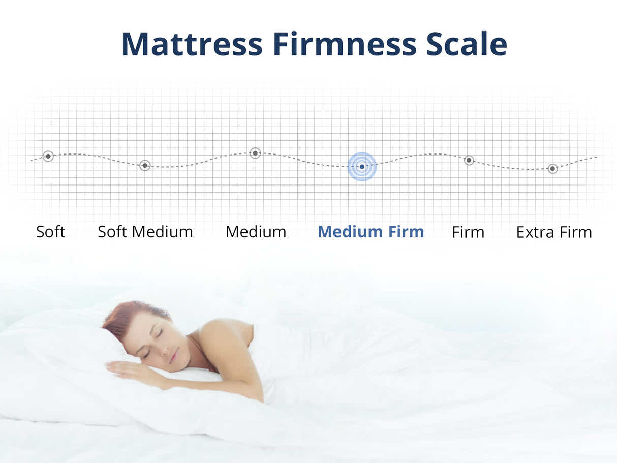 Euro Top Mattress PIL20 with Pillows - Queen