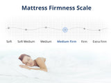 Euro Top Mattress PIL20 with Pillows - Queen