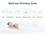 DS Euro Top Mattress J32MEM Double