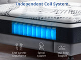 Single Top Mattress