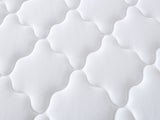 Euro Top Mattress PIL20 with Pillows - Queen