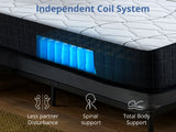Xclusive Pocket Spring Mattress X20 Double