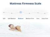 Xclusive Pocket Spring Mattress X20 Single