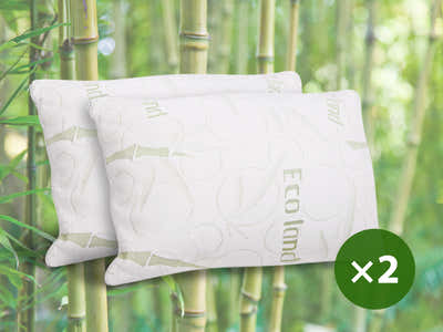 Shredded Memory Foam Pillow x 2