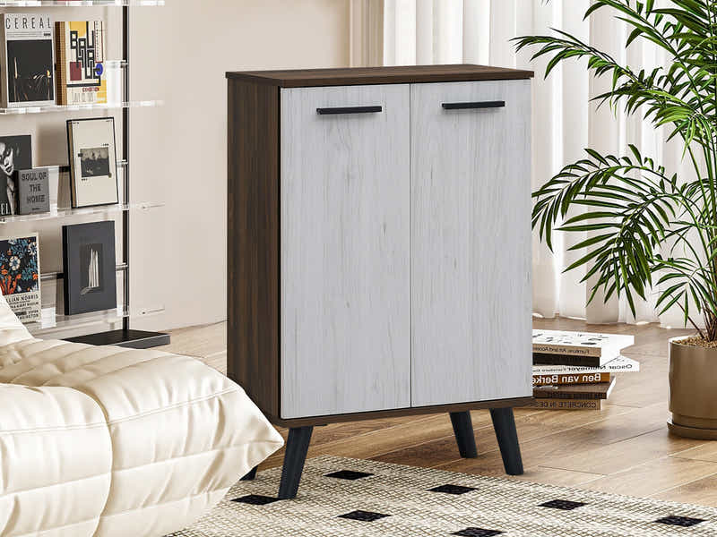 Dallars 2-Door Shoe Storage Cabinet