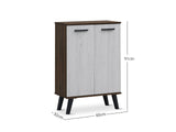 Dallars 2 Door Shoe Cabinet