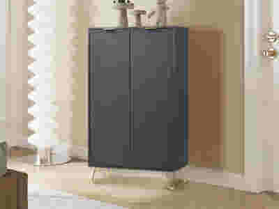 Zinnia 2-Door Shoe Storage Cabinet