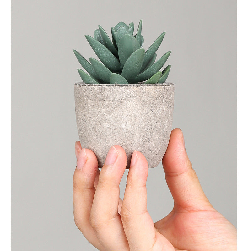 DS BS 6PCS Artificial Potted Succulent Plants