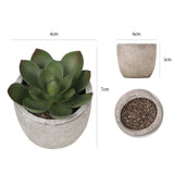 DS BS 6PCS Artificial Potted Succulent Plants