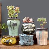 DS BS 5 Pack Elegant Garden Small Succulent Plant Pots
