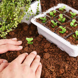 DS BS 10 Packs 12 Cells Seed Starter Tray Seed Starter Kit