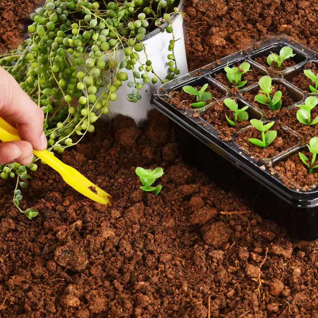 DS BS 10 Packs 12 Cells Seed Starter Tray Seed Starter Kit