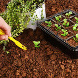 DS BS 10 Packs 12 Cells Seed Starter Tray Seed Starter Kit