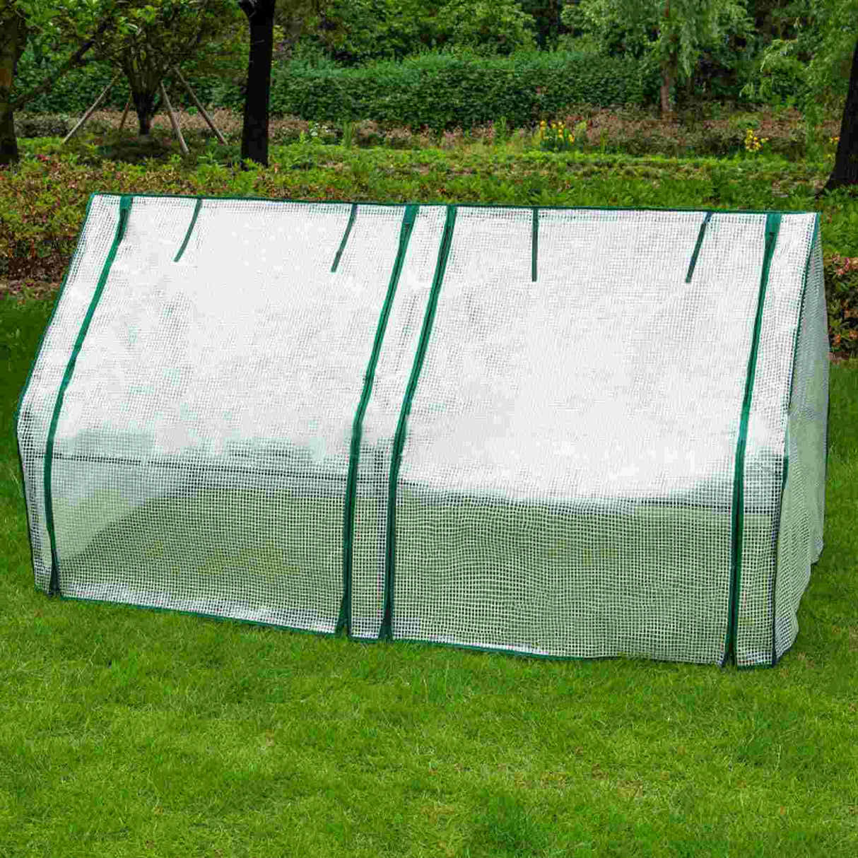 DS BS Mini Garden Plant Flower Greenhouse with Roll Up Curtains Door 180cm