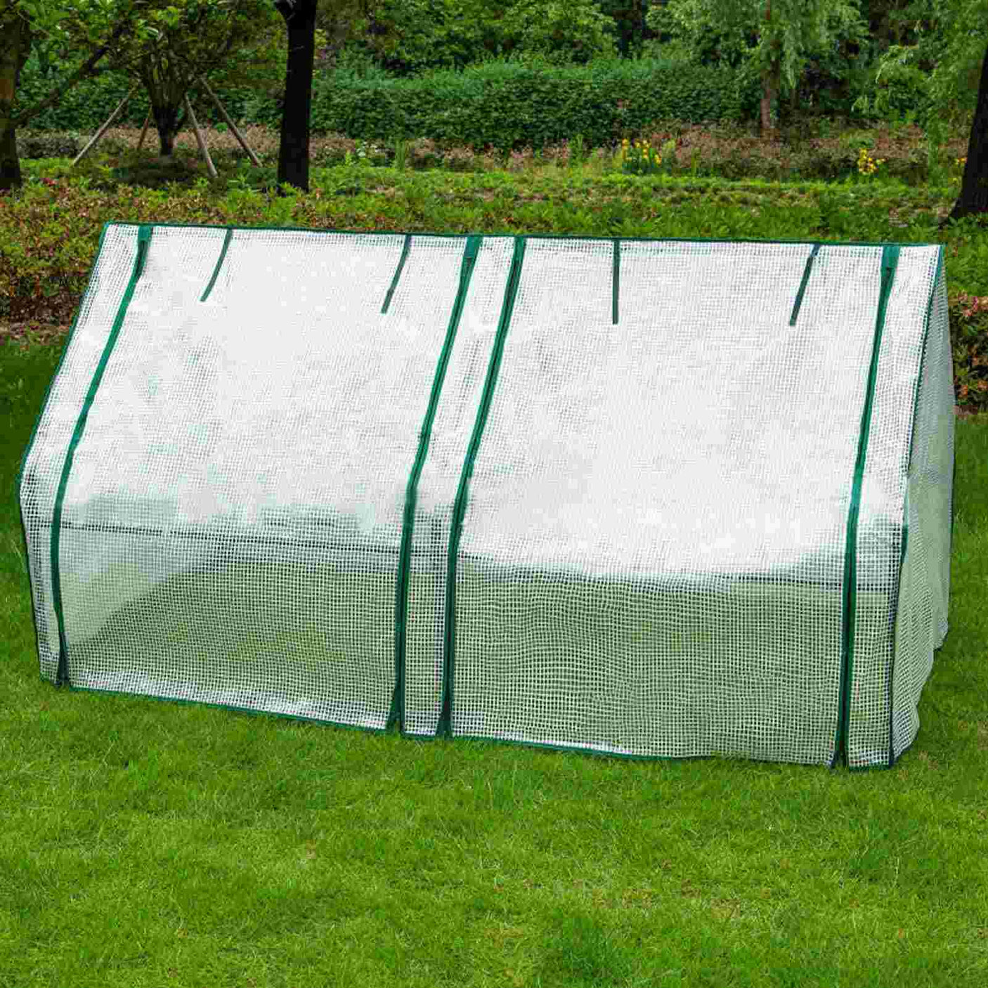 DS BS Mini Garden Plant Flower Greenhouse with Roll Up Curtains Door 180cm