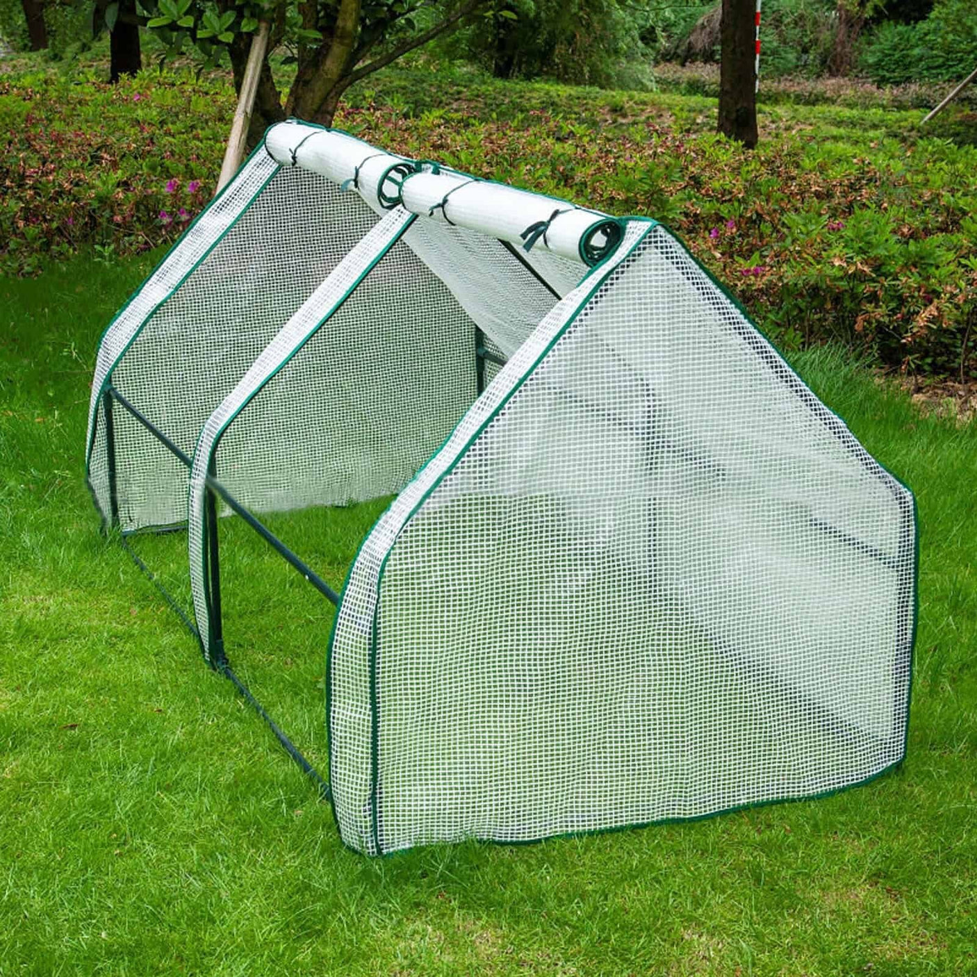 DS BS Mini Garden Plant Flower Greenhouse with Roll Up Curtains Door 180cm