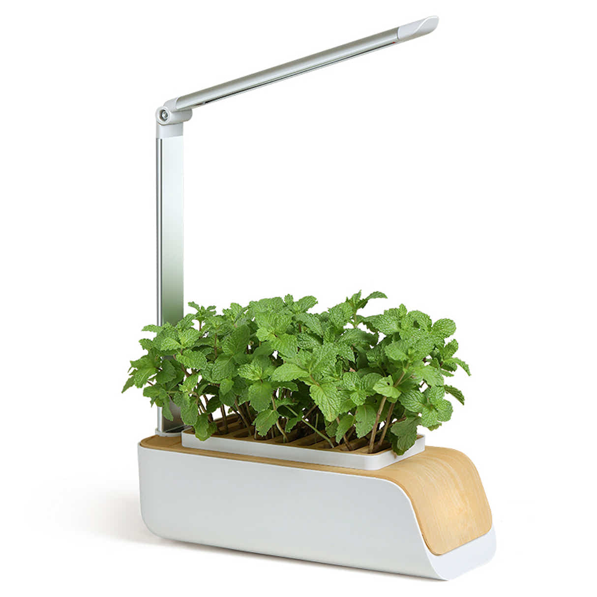 DS BS Indoor Hydroponic Planter Kit Smart with Grow Light