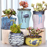 DS BS 5 Pack Elegant Garden Small Succulent Plant Pots