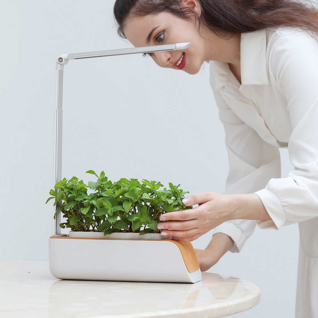 DS BS Indoor Hydroponic Planter Kit Smart with Grow Light