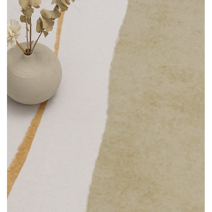 DS BS Modern Abstract Non-Shedding Area Rug Summer 120X160CM