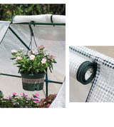 DS BS Mini Garden Plant Flower Greenhouse with Roll Up Curtains Door 180cm