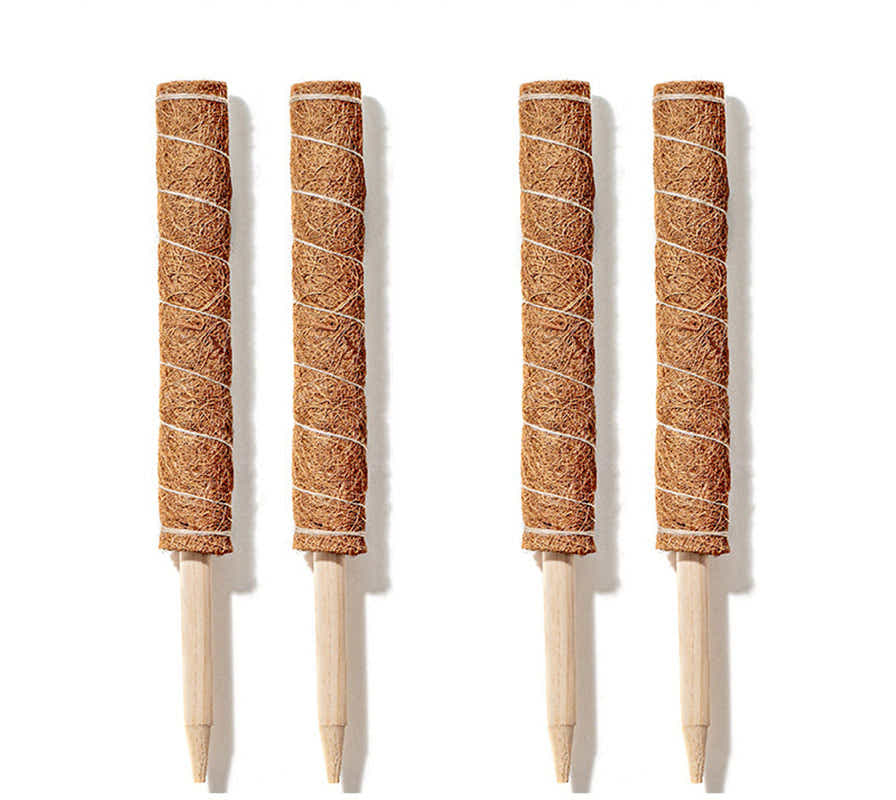 DS BS Coconut Liner Moss Rod for Climbing Plants 50cm 4 Pack