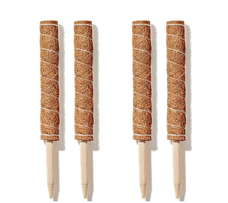 DS BS Coconut Liner Moss Rod for Climbing Plants 50cm 4 Pack