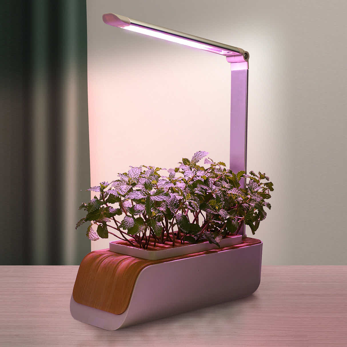 DS BS Indoor Hydroponic Planter Kit Smart with Grow Light